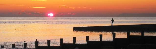 الإنجليزية في St Leonards مع Language International